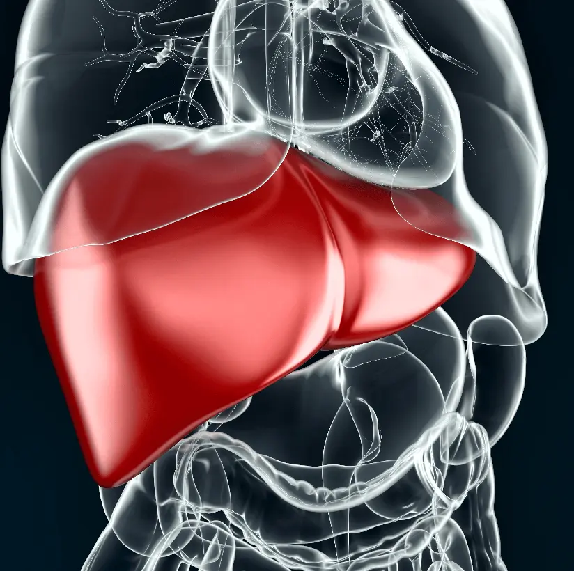 Treatment for Fatty Liver and Gastro Instestinal Diseases in Bareilly - Gangasheel Hospital