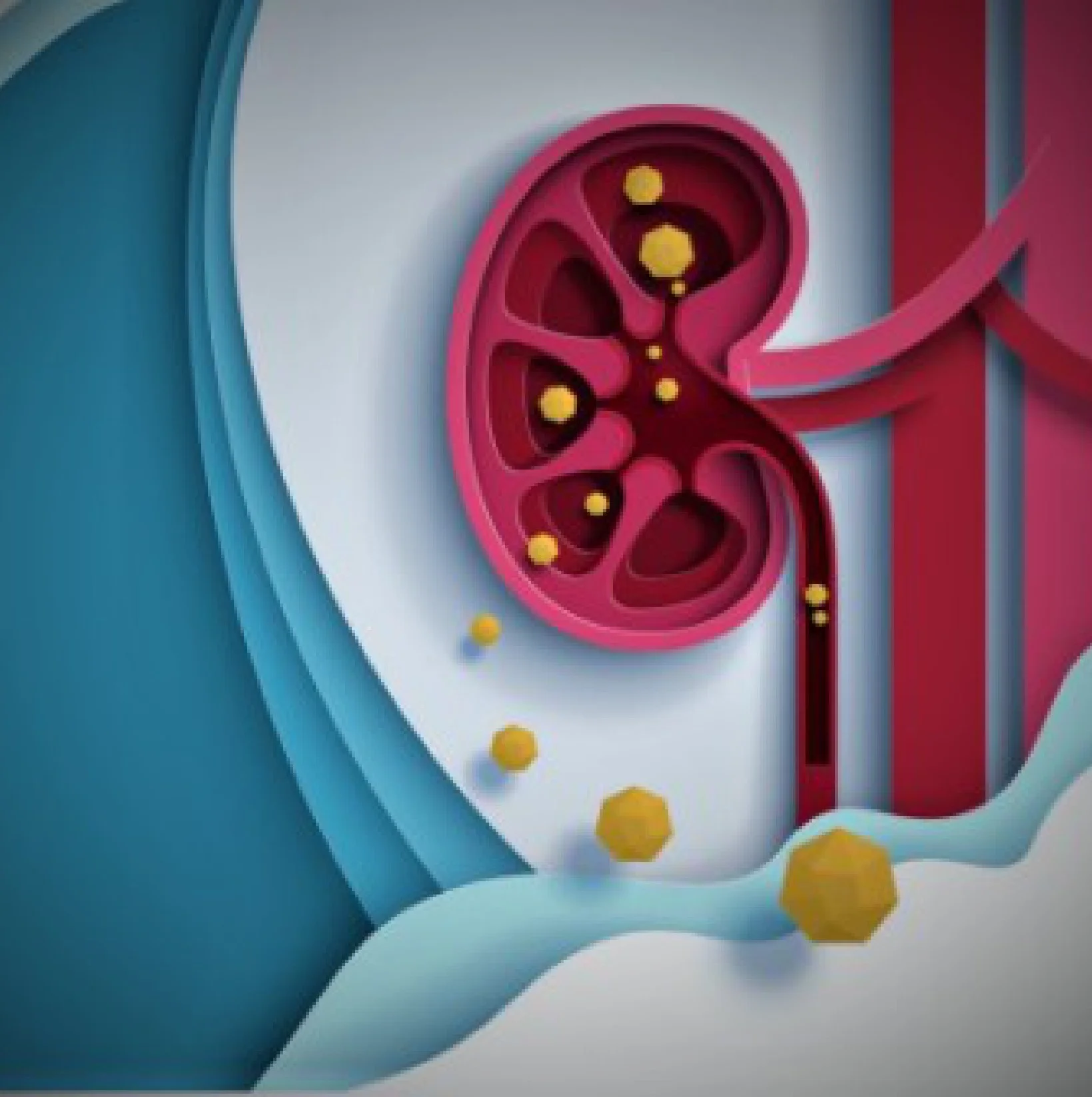 Best Treatment for Renal Stones at Gangasheel Hospital - Bareilly